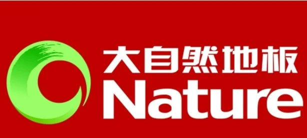 复合地板前十品牌故事.2021年复合地板前十品牌？-第1张图片