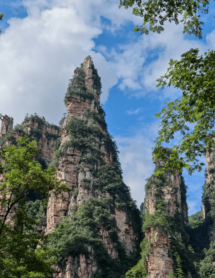 【张家界自助游最佳攻略,张家界自助游记】-第2张图片