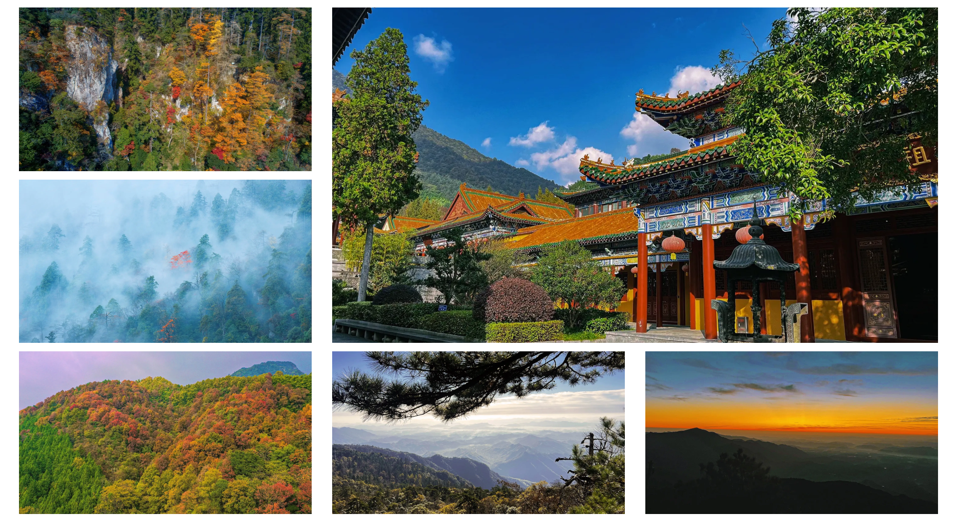 天目山景区.杭州天目山景区-第2张图片