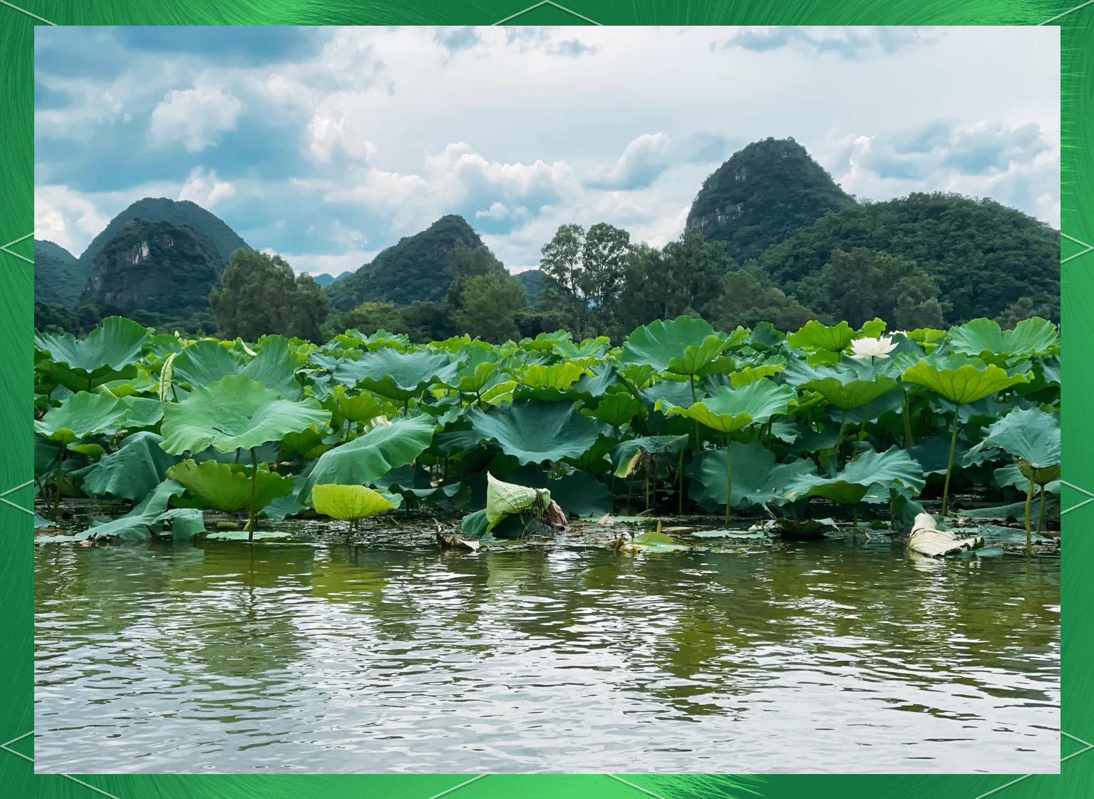 “普者黑最佳旅游时间	” 普者黑最佳旅游时间是几月份？-第1张图片