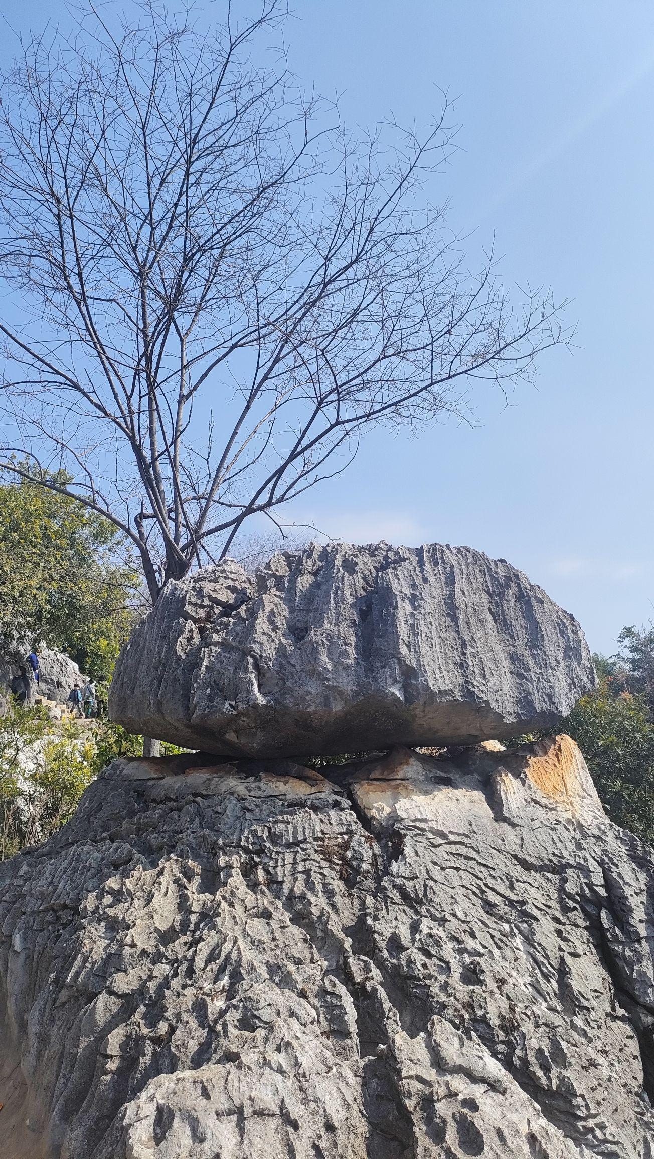 “昆明石林风景区” 昆明石林风景区图片？-第2张图片