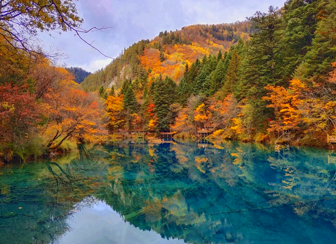 “四川九寨沟旅游攻略自由行攻略” 四川九寨沟旅游攻略自由行攻略图片？-第1张图片