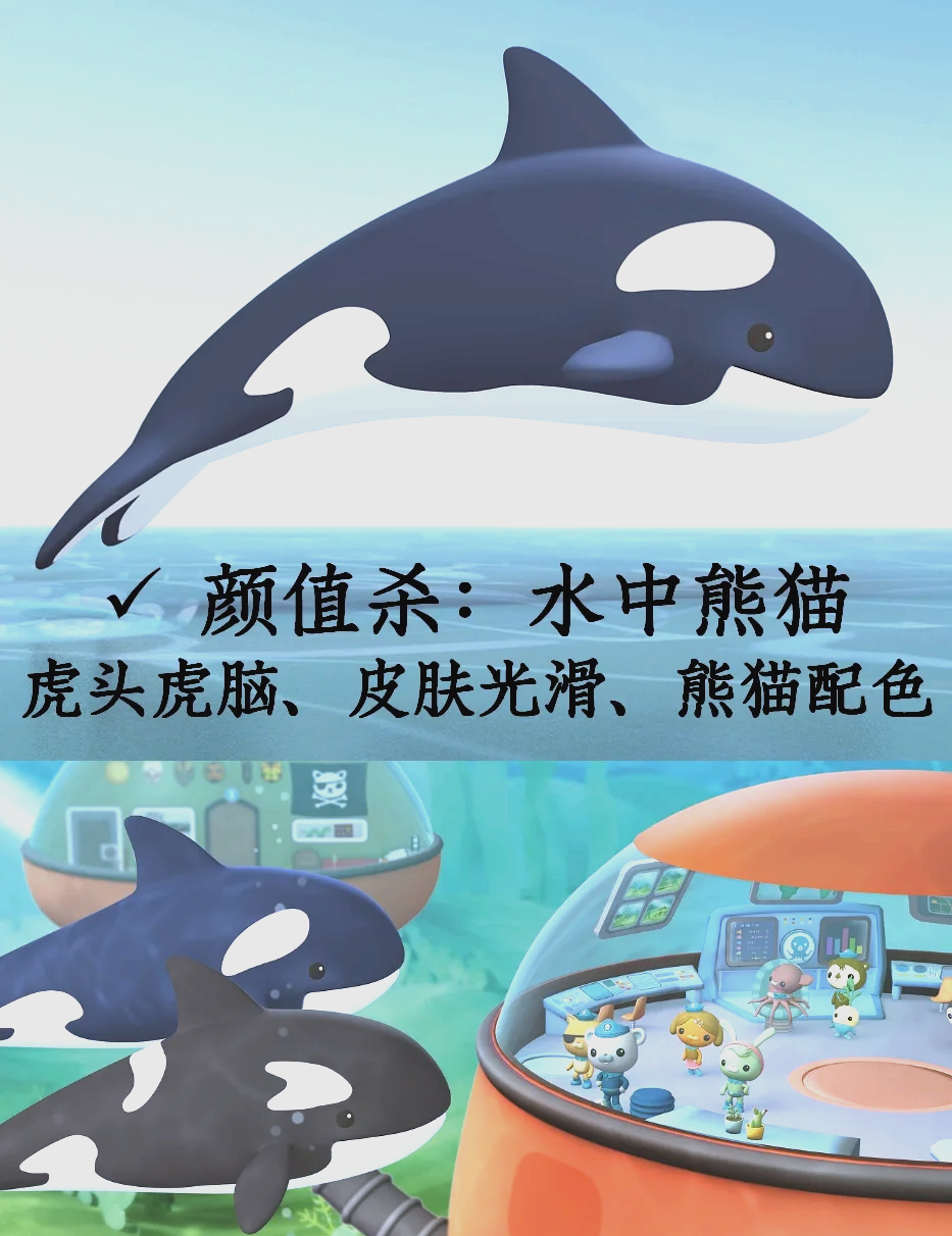 “伪虎鲸vs虎鲸” 伪虎鲸vs虎鲸哪个厉害？-第1张图片